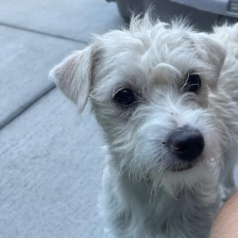 Casey thumbnail 2