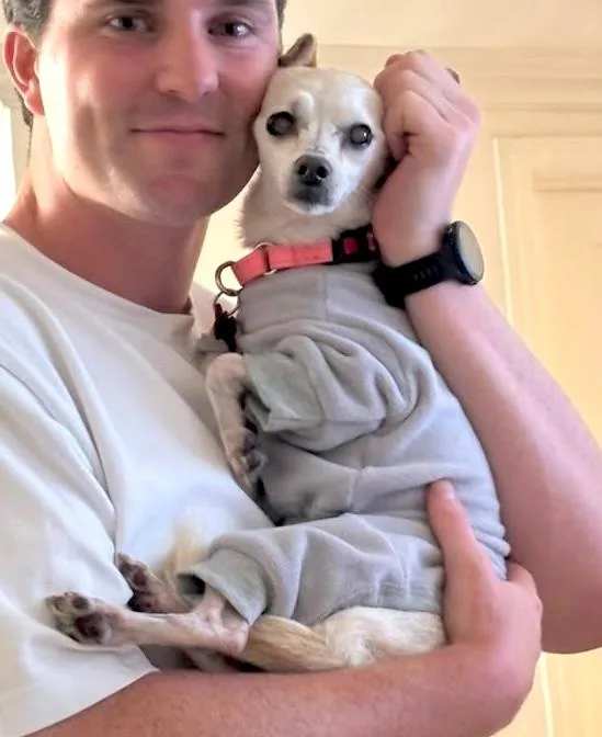 A senior small-sized female Chihuahua dog named Bailey for adoption in Brooklyn, NY