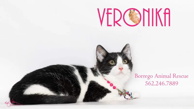 Veronika thumbnail 3