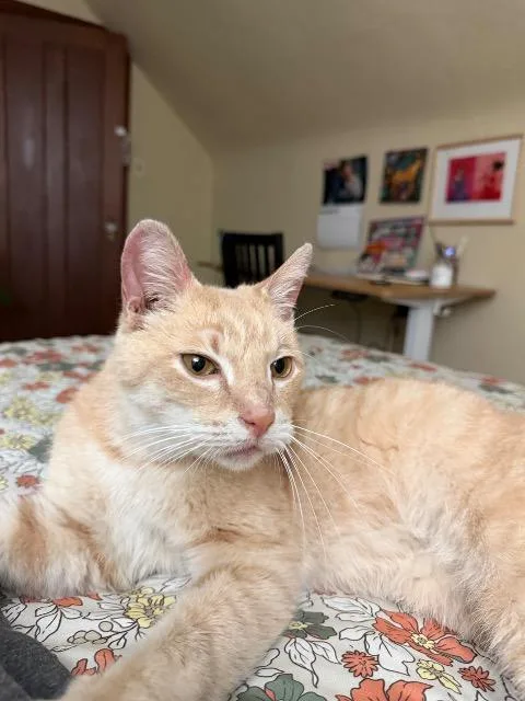 Lemon Pound Cake thumbnail 3