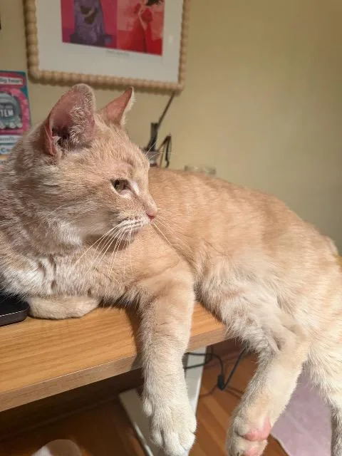 Lemon Pound Cake thumbnail 6