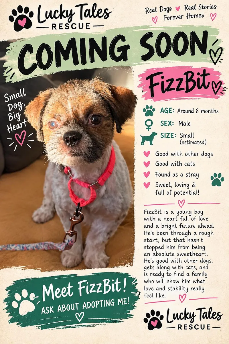 Fizz Bit thumbnail 2