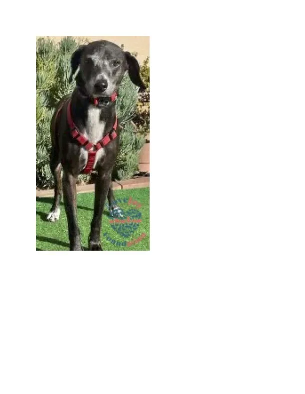 Hunter Coh thumbnail 3