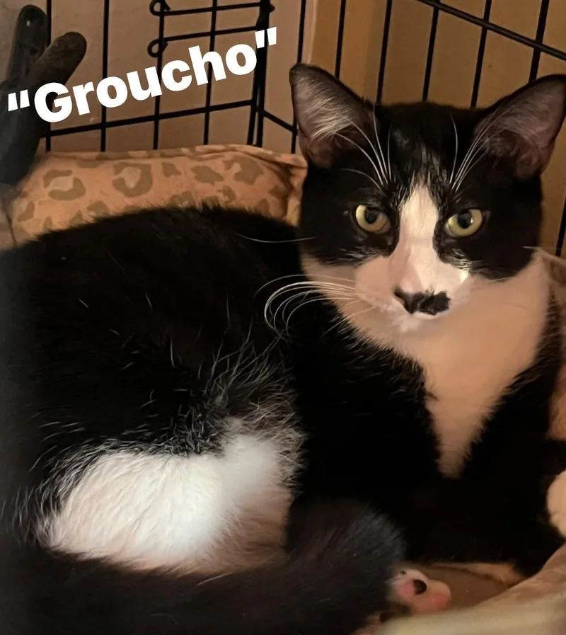 Booger & Groucho thumbnail 5