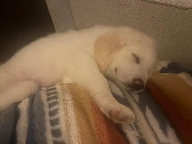 Three Amigos: Gabbie thumbnail 2