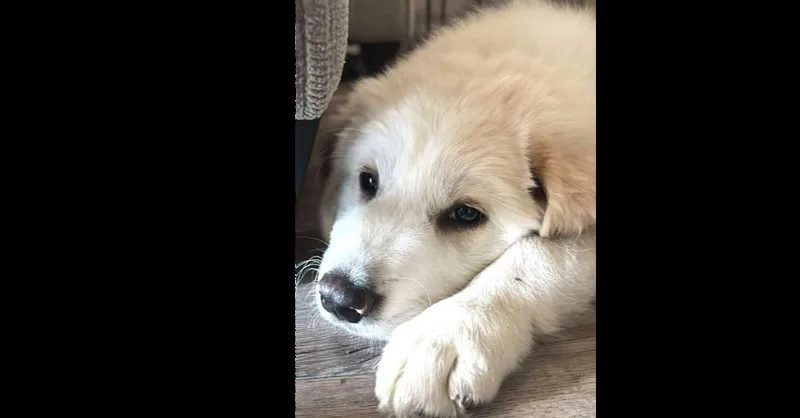 Three Amigos: Gabbie thumbnail 3