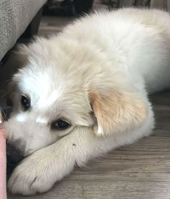 Three Amigos: Gabbie thumbnail 4