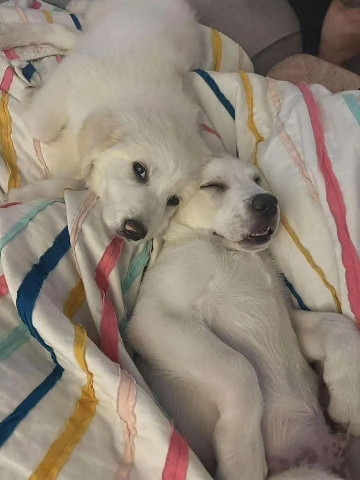 Three Amigos: Gabbie thumbnail 5