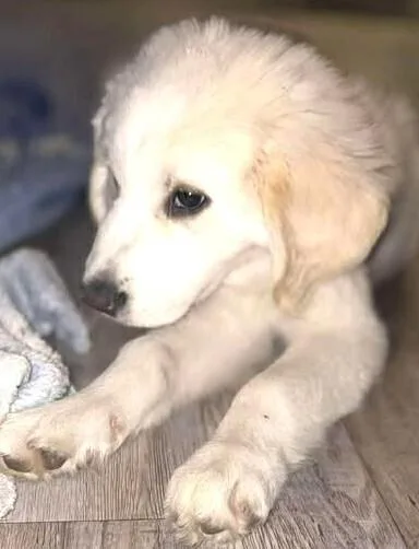 Three Amigos: Gabbie thumbnail 6