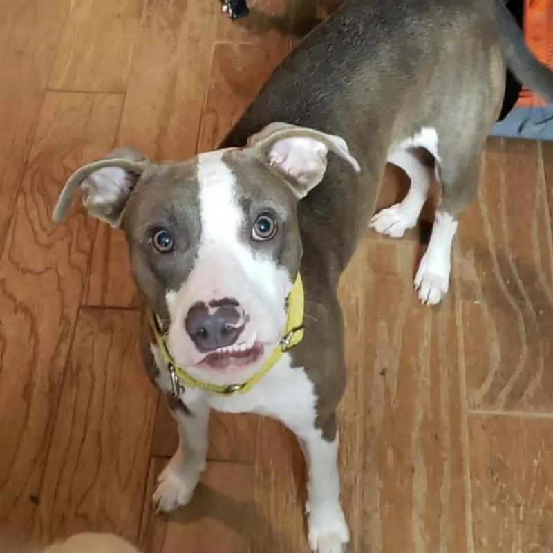 Cleopatra thumbnail 2