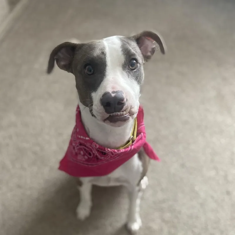 Cleopatra thumbnail 3