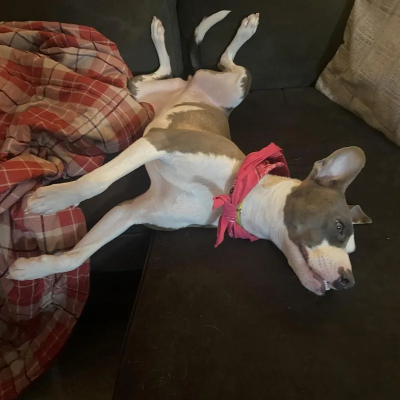 Cleopatra thumbnail 4