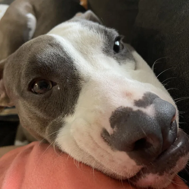 Cleopatra thumbnail 6