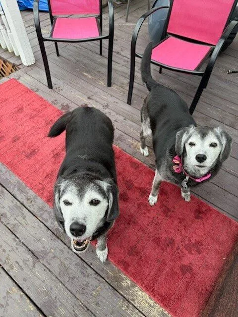 Tucker Courtesy Listing thumbnail 2