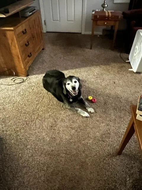 Tucker Courtesy Listing thumbnail 3