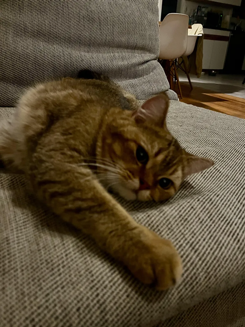 Phobos