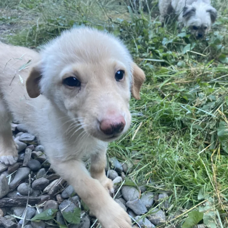Sunshine thumbnail 2