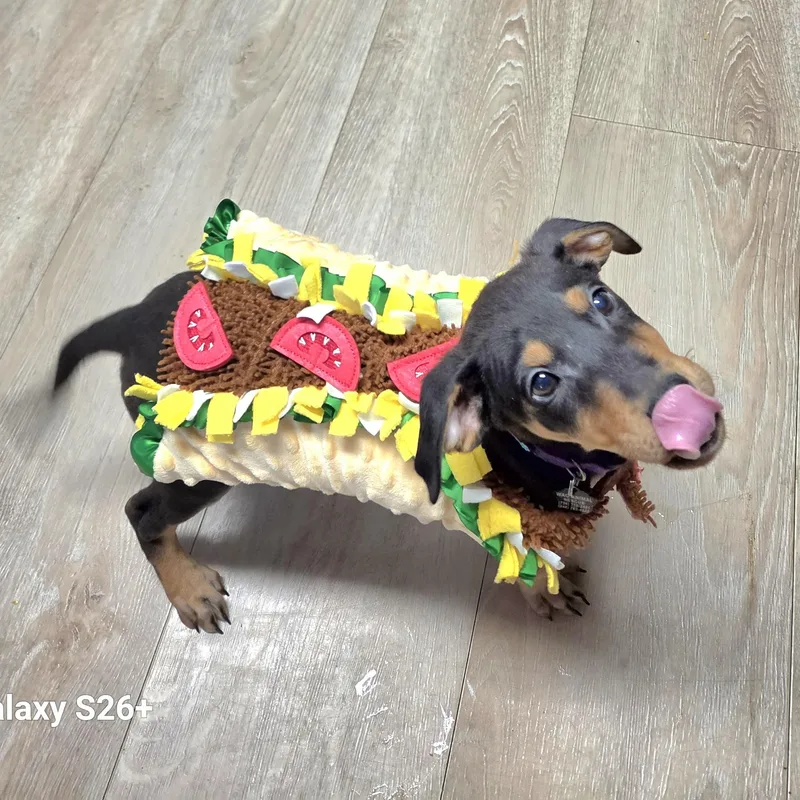 Taco thumbnail 2