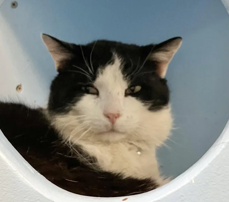 Montieth thumbnail 2