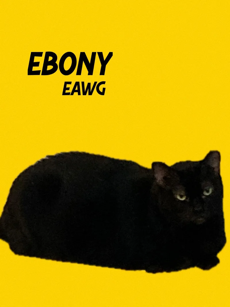 Ebony