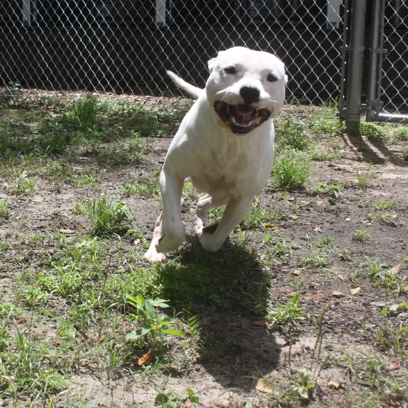 Casper
