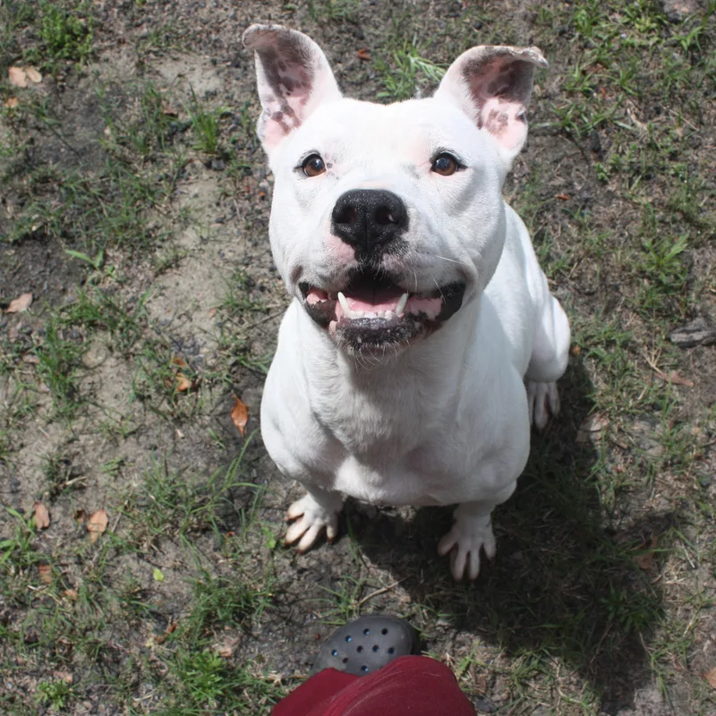 Casper thumbnail 2