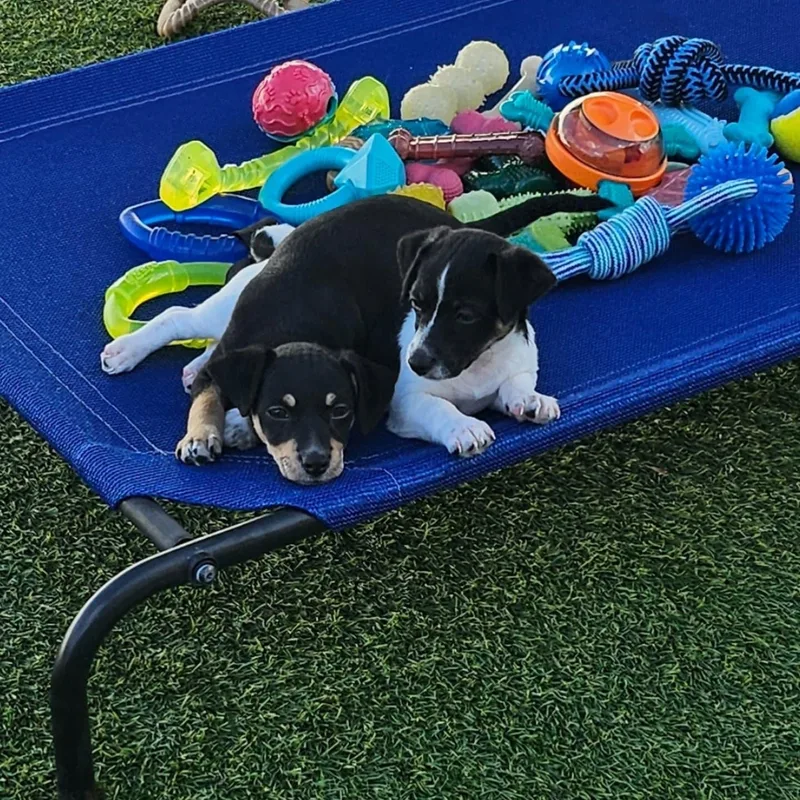 Milkyway And Comet thumbnail 4