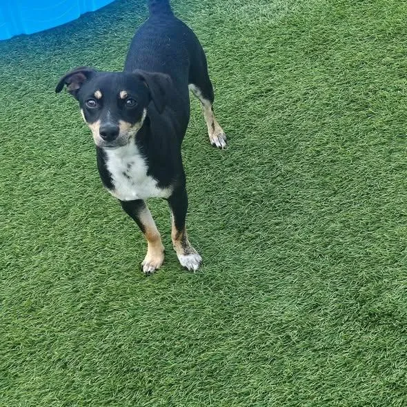 Milkyway And Comet thumbnail 5