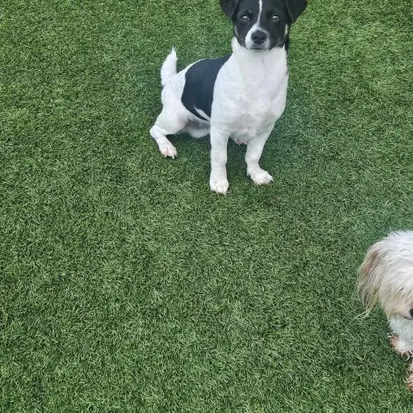 Milkyway And Comet thumbnail 6