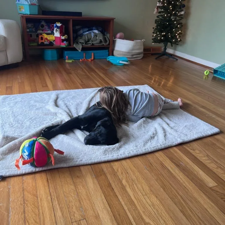 A young medium-sized male Black Mixed Breed dog named Onyx for adoption in Alexandria, VA
