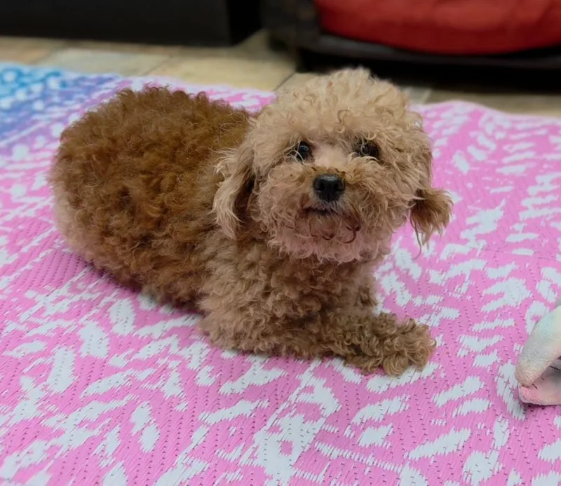 Bailey thumbnail 2