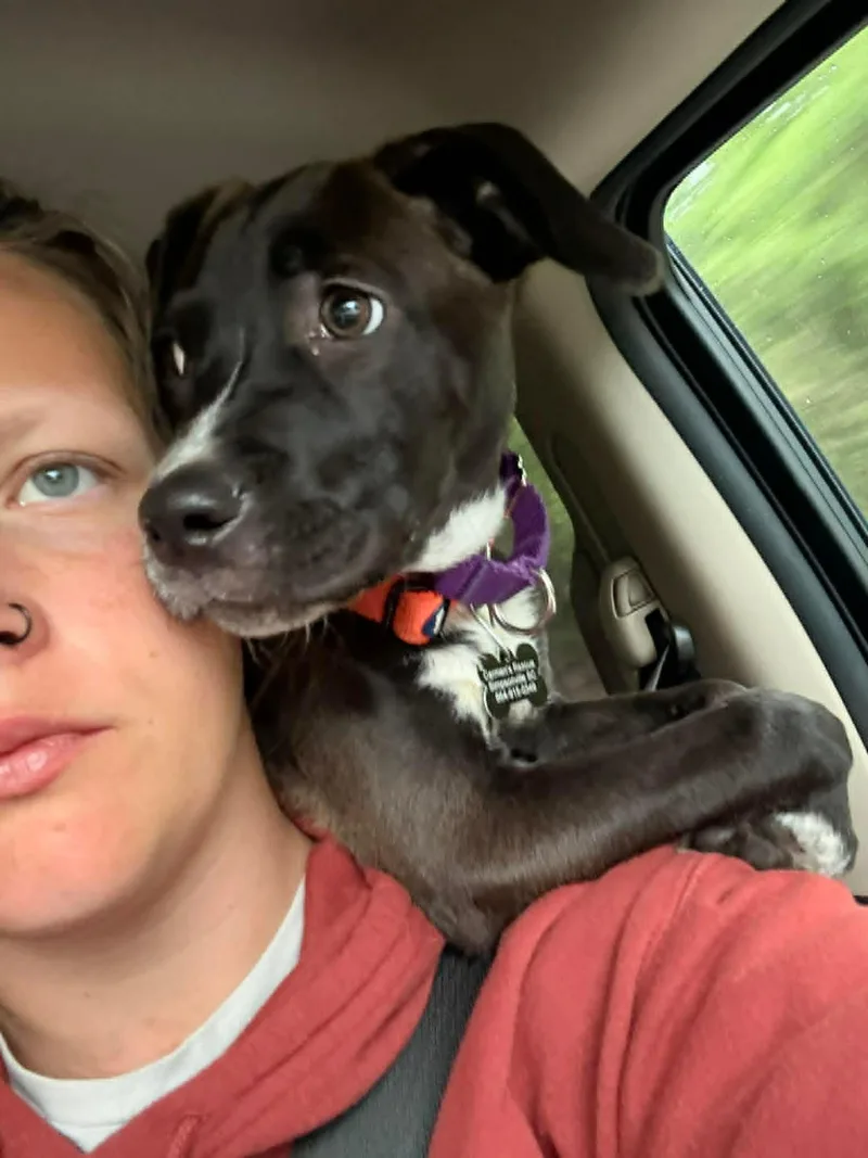 Lily thumbnail 6