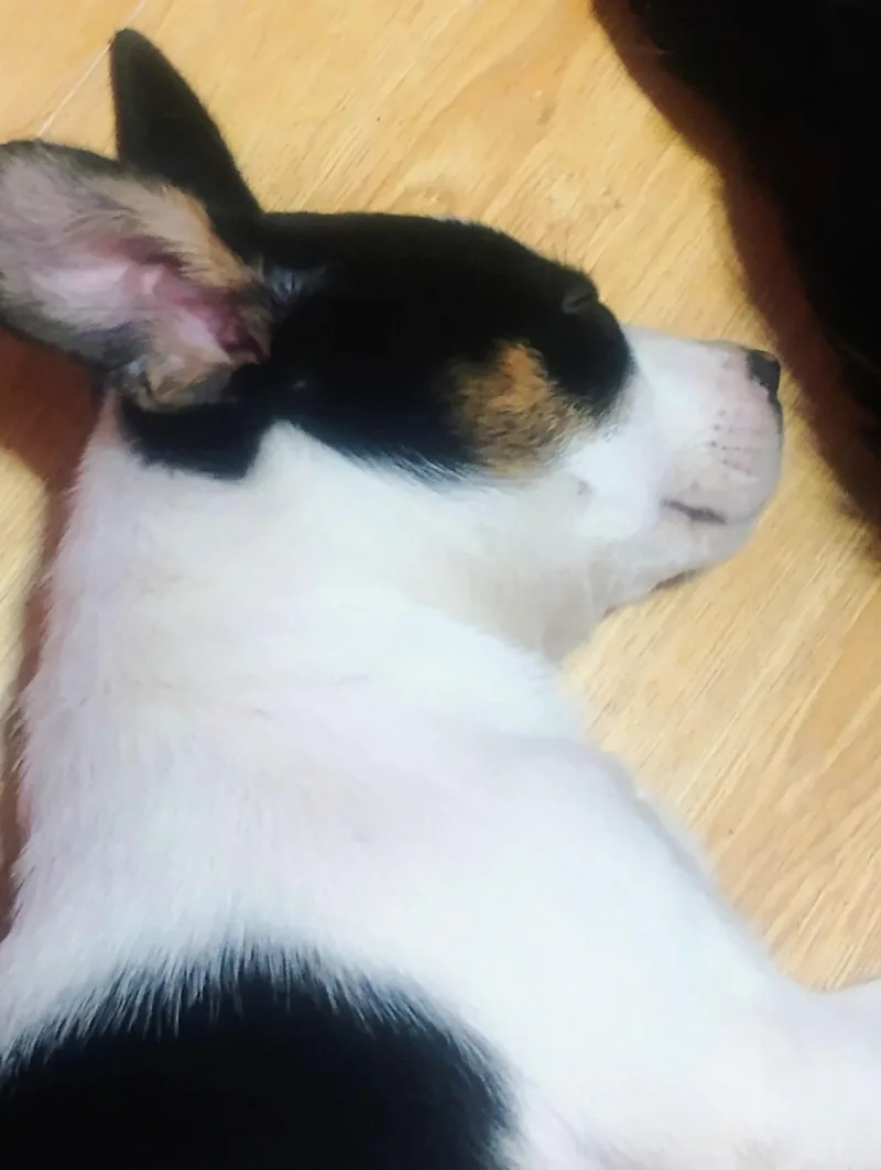 Charlotte thumbnail 2