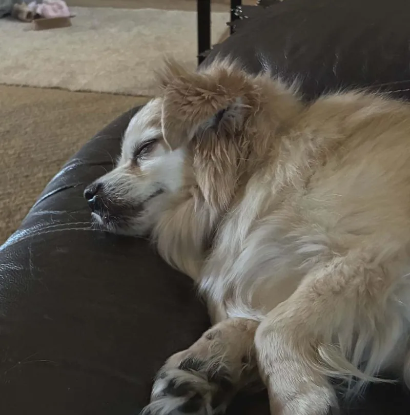 Cooper thumbnail 3