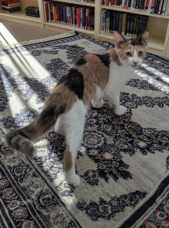 Ella