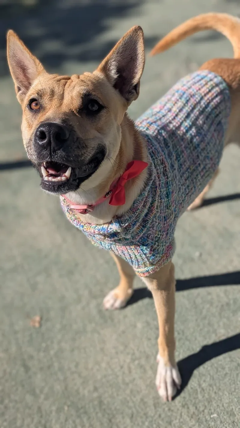 Samantha thumbnail 2