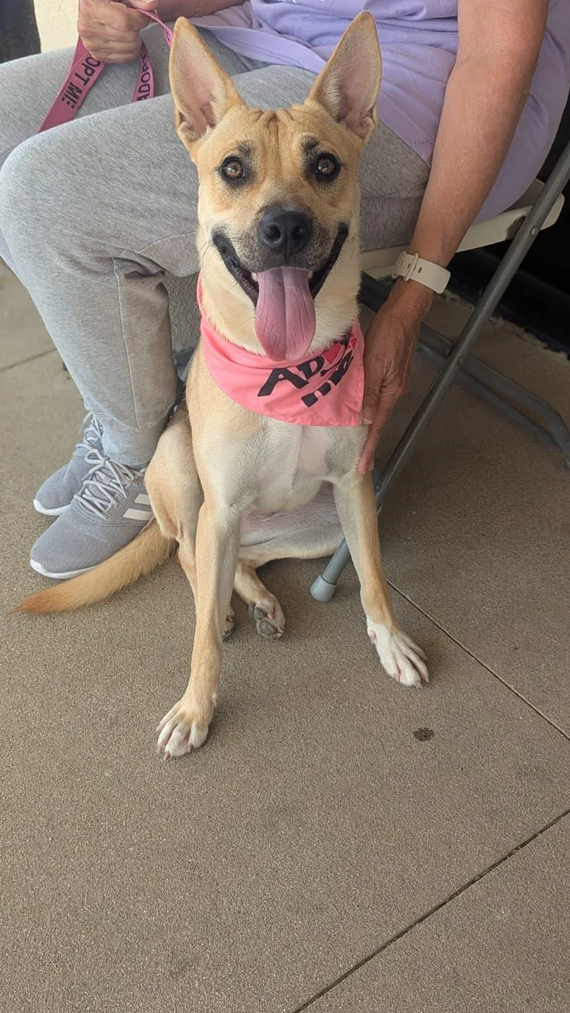 Samantha thumbnail 3