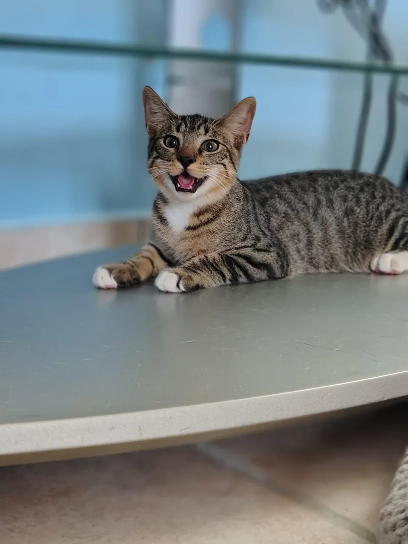 Thor And Loki thumbnail 5