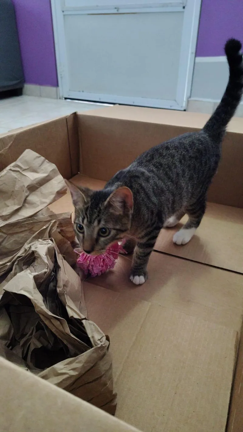 Thor And Loki thumbnail 6