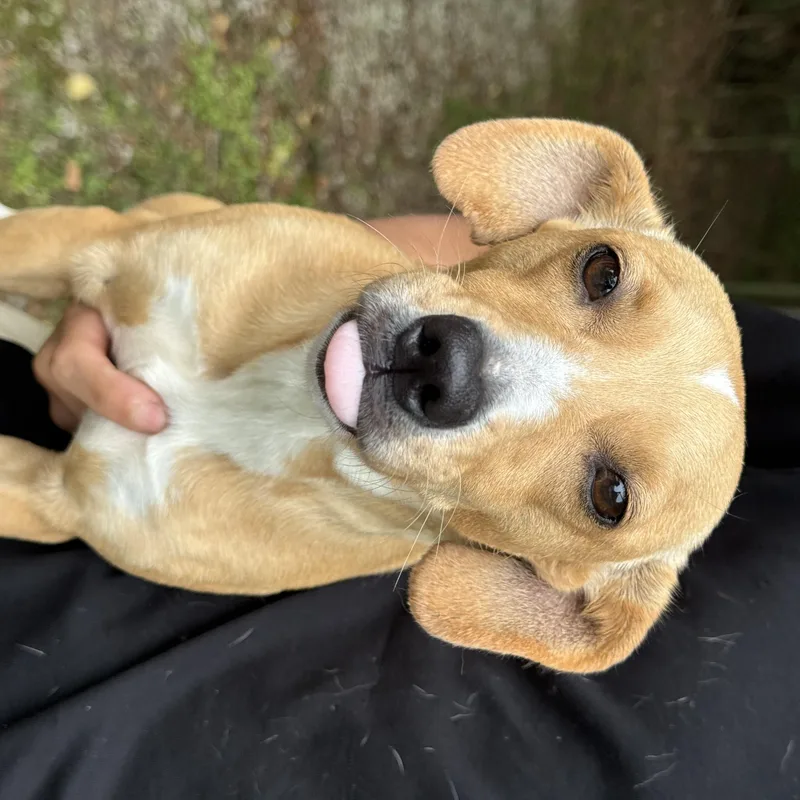 Sophie thumbnail 3