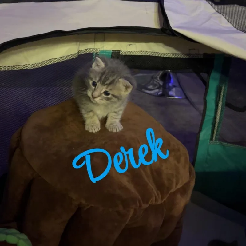 Derek thumbnail 3