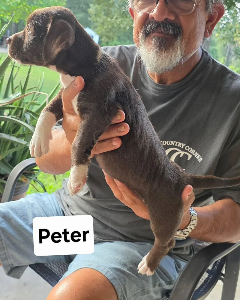 Peter