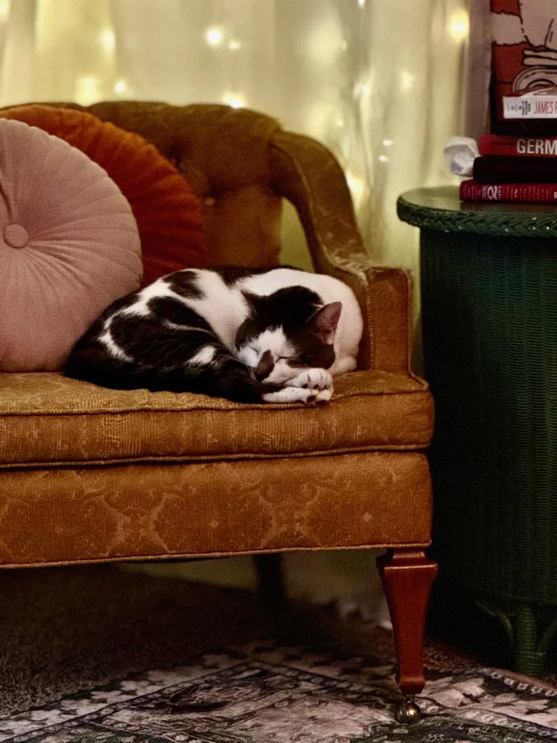 Poseidon Maximus Aka Pi thumbnail 2