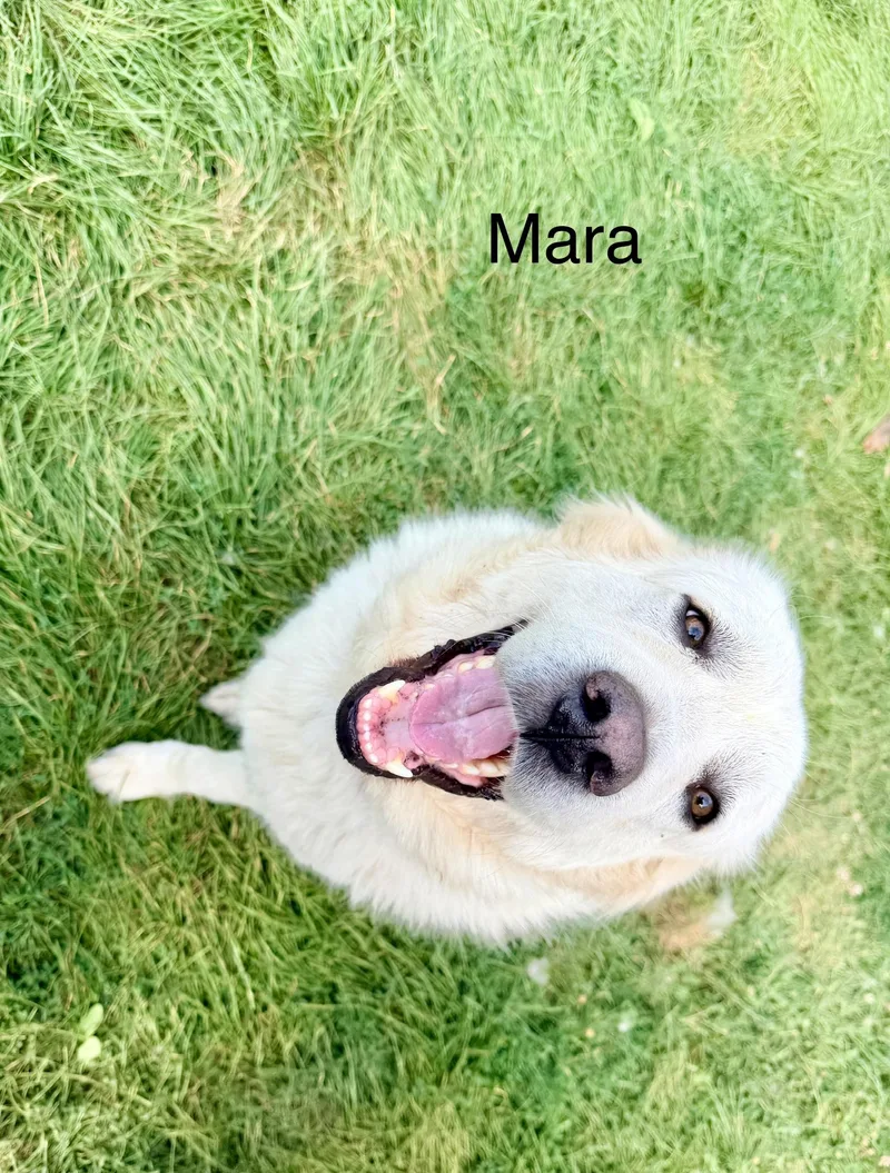Winter and Mara