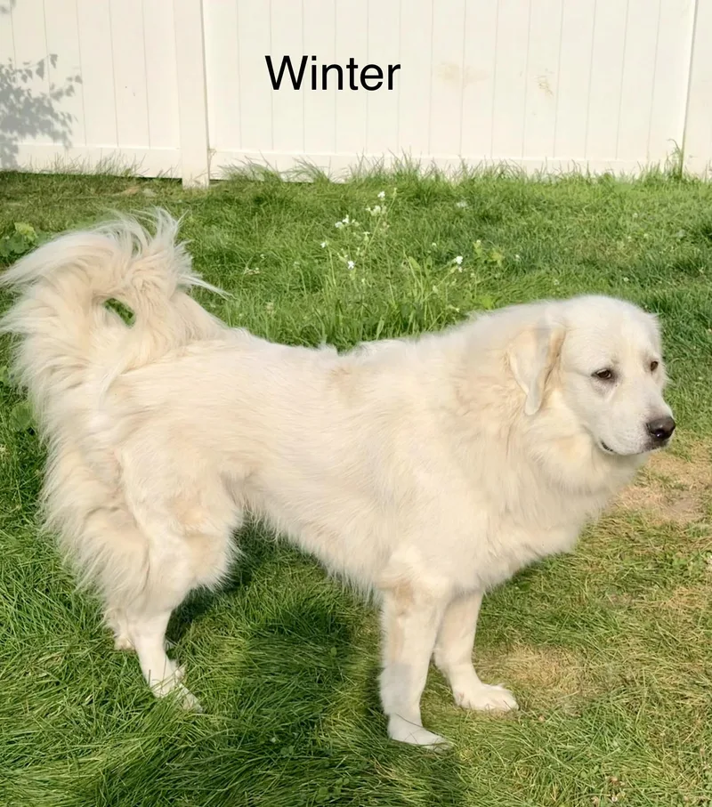 Winter and Mara thumbnail 4