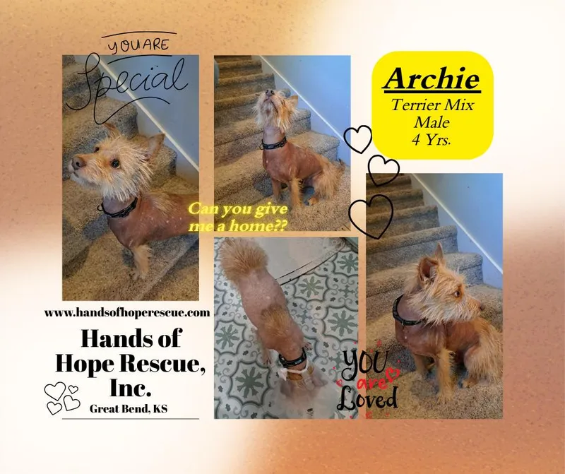 Archie