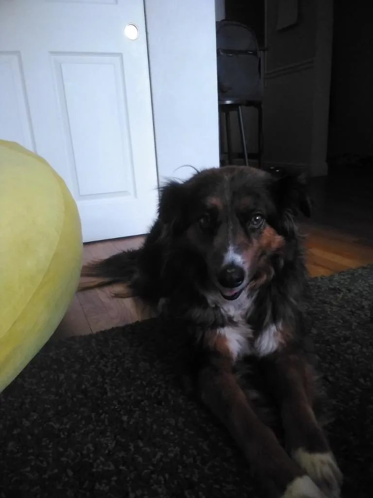 Carmilla Carmine thumbnail 2