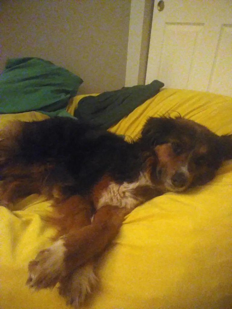 Carmilla Carmine thumbnail 3