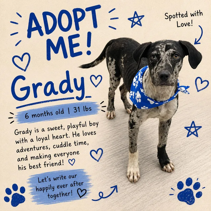 Grady  Local August thumbnail 2