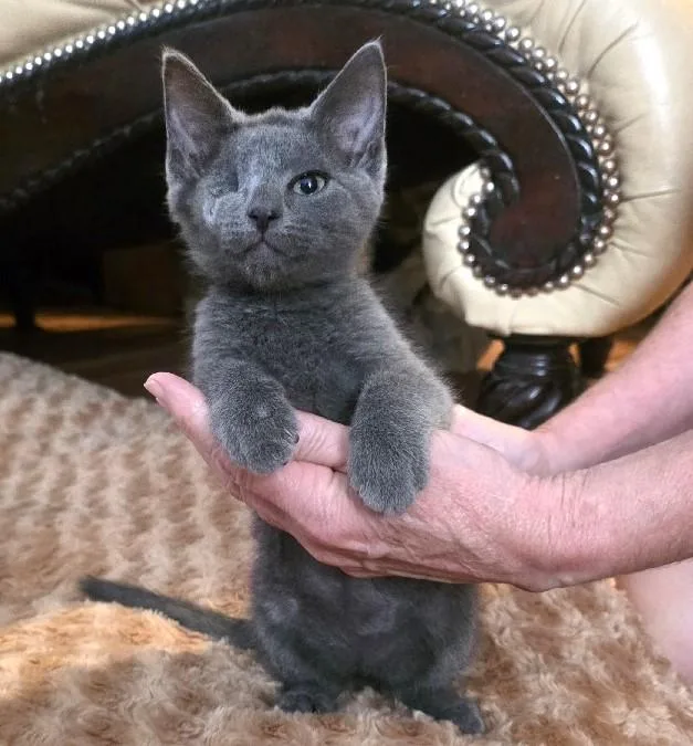 Smokey thumbnail 2